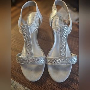 Size 10W Silver Wedges